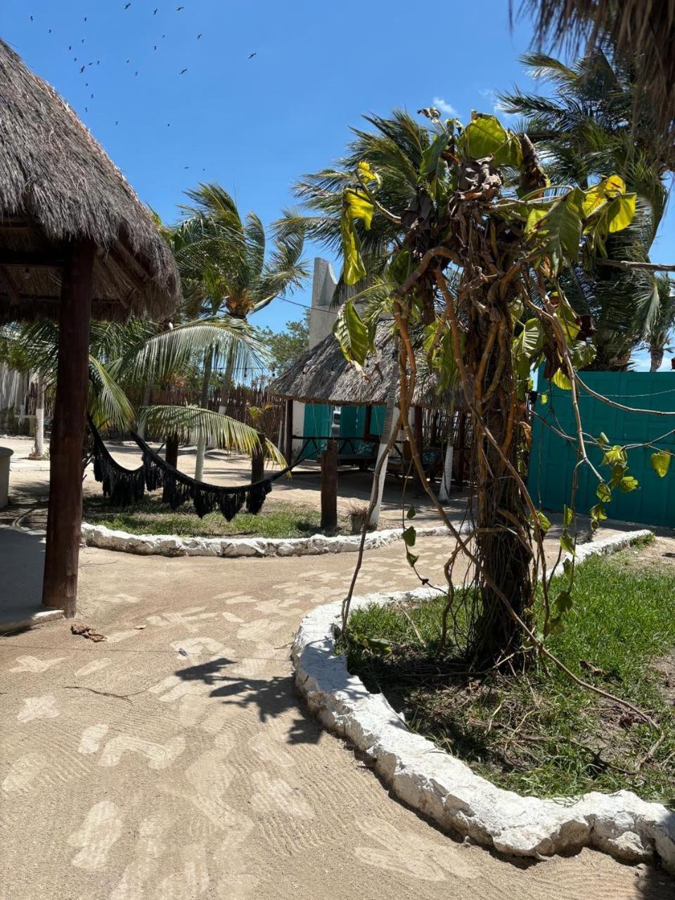 Mayan Mittoz Ilha Holbox Exterior foto